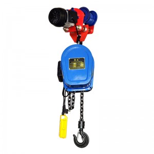 DHS electric hoist 220V